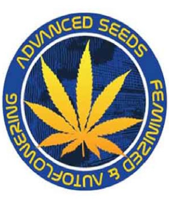 Feminised Collection #10 (3 x 2 FEM) (Cherry Pie Fast, Gelato #33 Fast, Zkittlez Fast ) (Advanced Seeds) Cannabis Seeds