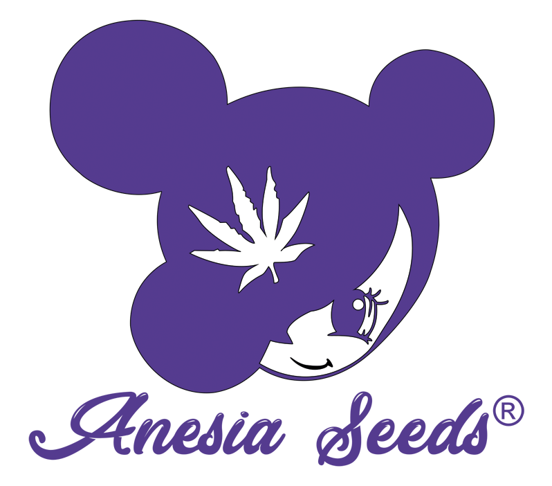 Chimera Cut Cannabis Seeds