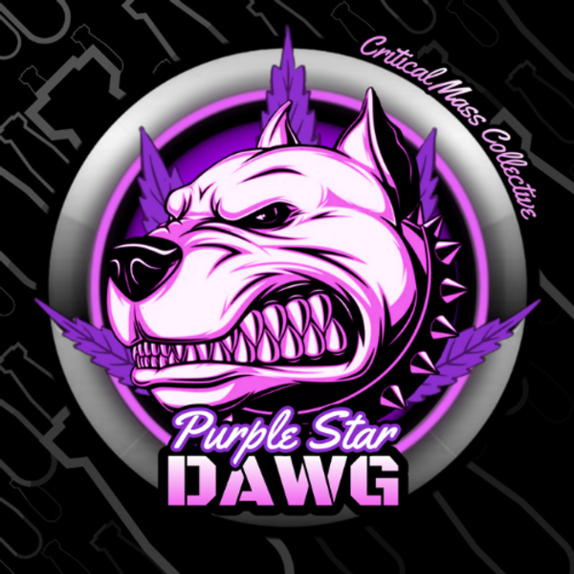Purple Star Dawg  Cannabis Seeds