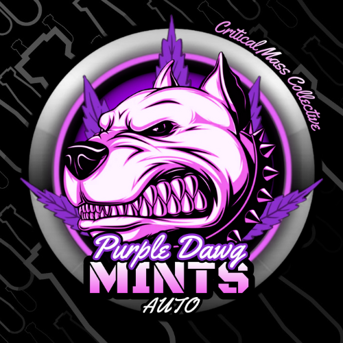 Auto Purple Dawg Mints Cannabis Seeds