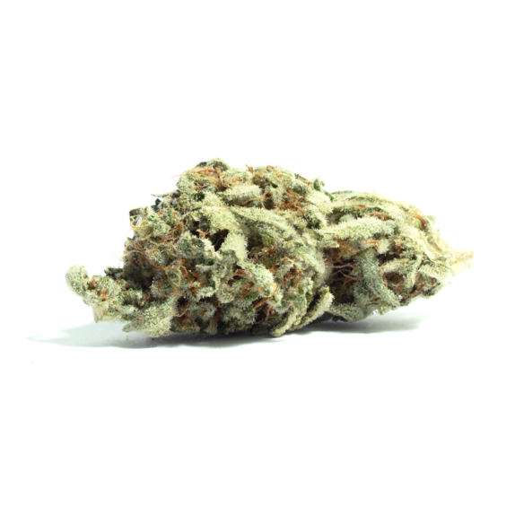 Kush Mintz Cannabis Seeds