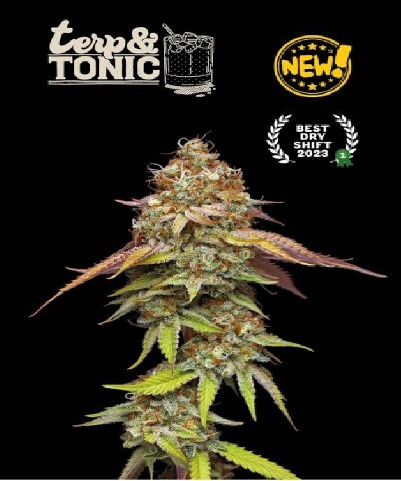 Superior Terp & Tonic Cannabis Seeds