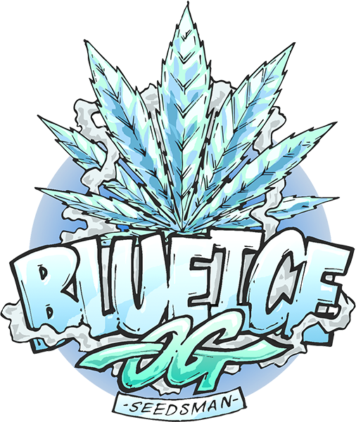 Blue Ice OG Cannabis Seeds