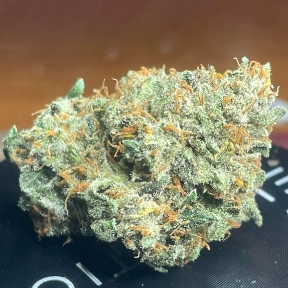Sirius Blue Autoflowering Cannabis Seeds