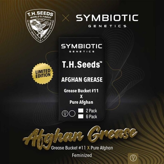 Afghan Grease Feminized Cannabis Seeds