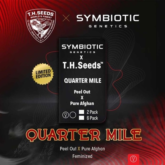 Quarter Mile Feminized Cannabis Seeds