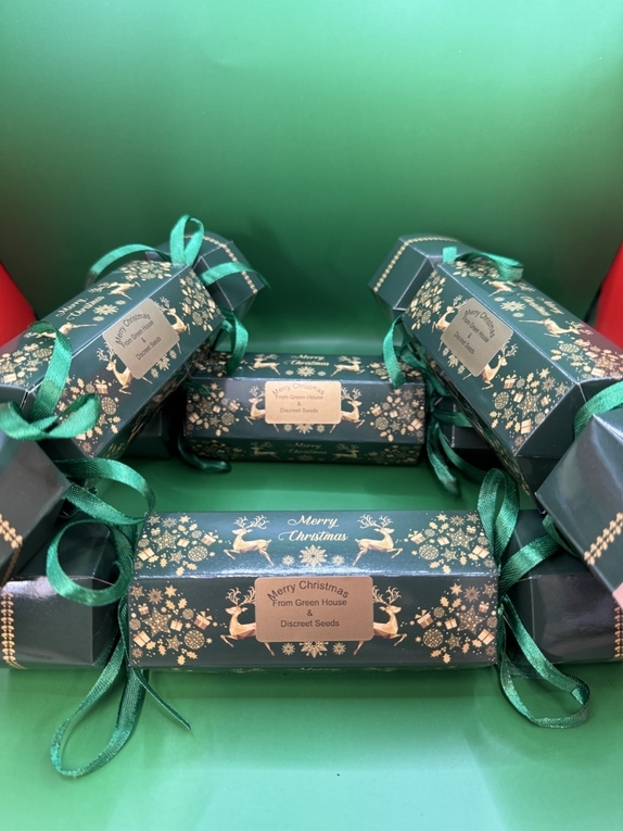 Christmas Crackers in conjunction with Greenhouse Seeds Cannabis Seeds
