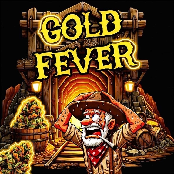 Gold Fever Cannabis Seeds
