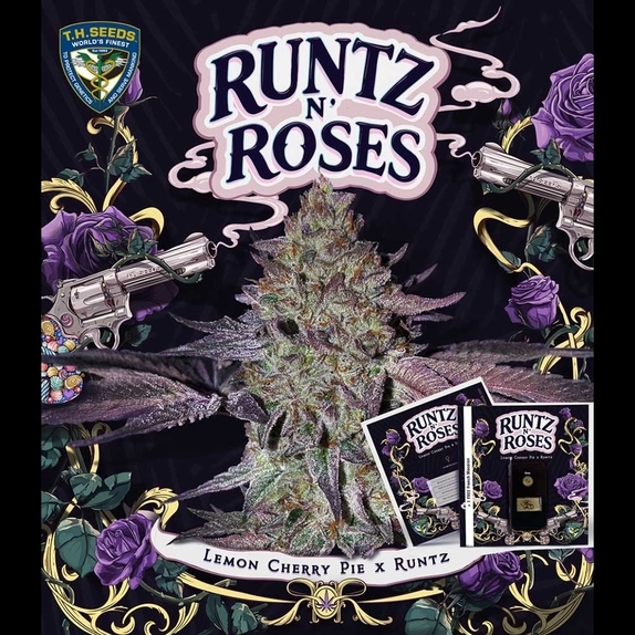 Runtz N Roses Cannabis Seeds