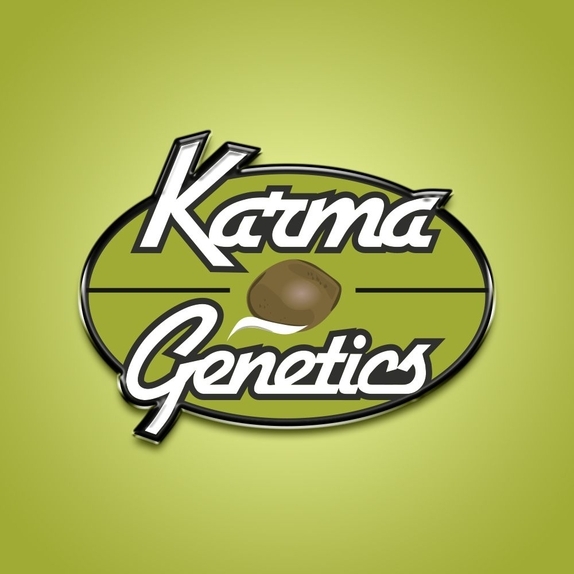 London Loud Regular Cannabis Seeds