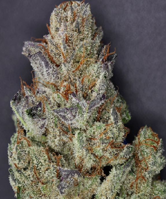 501st OG Cannabis Seeds