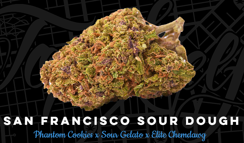 San Francisco Sour Dough Cannabis Seeds