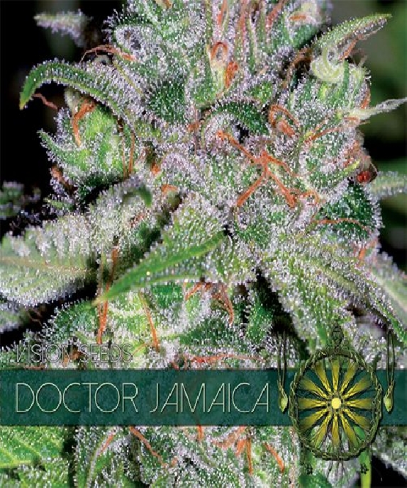 Doctor Jamaica Cannabis Seeds