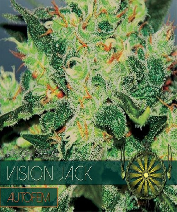 Jack Auto Cannabis Seeds