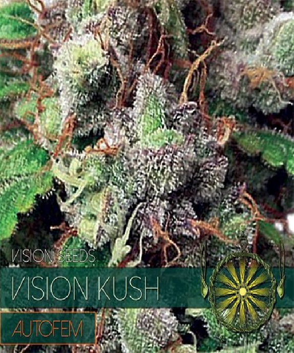 Kush Auto Cannabis Seeds