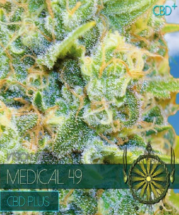 Medical 49 CBD+ Cannabis Seeds