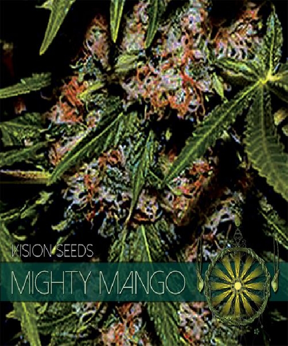 Mighty Mango Bud Cannabis Seeds