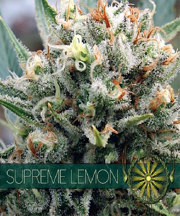 Supreme Lemon Cannabis Seeds