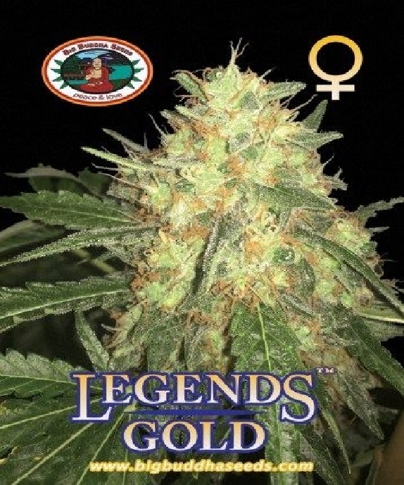 Legends Gold Cannabis Seeds