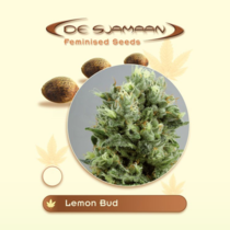 Lemon Bud (De Sjamaan Seeds) Cannabis Seeds
