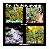 Killer Mix (Dr Underground Seeds) Cannabis Seeds