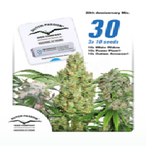 30th Anniversary Mix (Dutch Passion Seeds) Cannabis Seeds