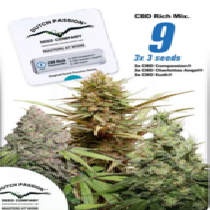 CBD Feminised Mix (Dutch Passion Seeds) Cannabis Seeds