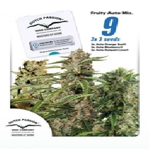 Fruity Auto Mix (Dutch Passion Seeds) Cannabis Seeds