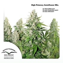 High Potency Autoflower Mix (Dutch Passion Seeds) Cannabis Seeds