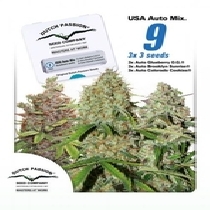 USA Autoflower Mix (Dutch Passion Seeds) Cannabis Seeds