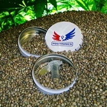 Collectors Pack Express (Positronics Seeds) Cannabis Seeds