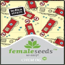 Chem OG (Female Seeds) Cannabis Seeds