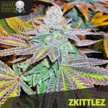 Zkittlez (Black Skull Seeds) Cannabis Seeds