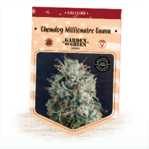 Chemdog Millionaire Guava (Garden of Green Seeds) Cannabis Seeds