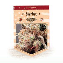 Sherbert (Garden of Green Seeds) Cannabis Seeds