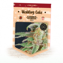 Wedding Cake (Garden of Green Seeds) Cannabis Seeds