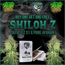 Shiloh Z Massive Creations x (TH Seeds) Cannabis Seeds