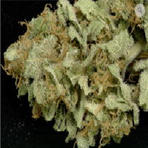 Gorilla Cookies (Big Head Seeds) Cannabis Seeds
