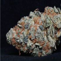 Cookie Dawg (Big Head Seeds) Cannabis Seeds