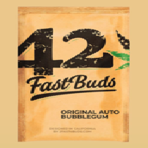 Original Auto BubbleGum (Fast Buds Seeds) Cannabis Seeds