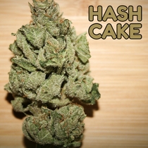 Hash Cake Feminised (Tasebudz Seeds) Cannabis Seeds