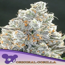 Original Gorilla 4 (Anesia Seeds) Cannabis Seeds