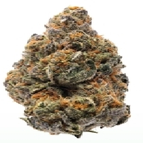 The New (Humboldt Seed Organisation Seeds) Cannabis Seeds