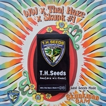 WW x Thai Haze x Skunk 1 Regular (TH Seeds) Cannabis Seeds