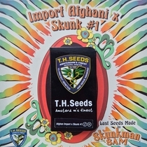 Import Afghani x Skunk 1 Regular (TH Seeds) Cannabis Seeds