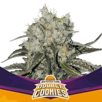 Double Cookies (BSF Seeds) Cannabis Seeds