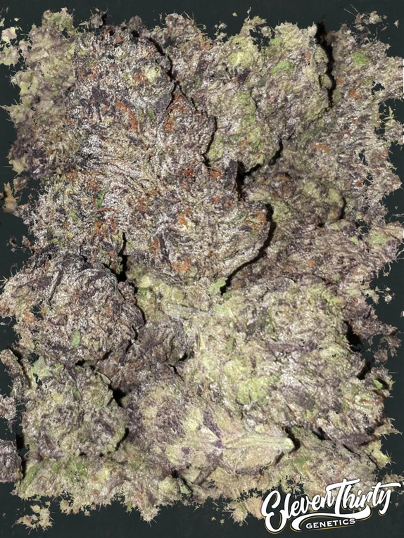 Gamerz zoup (ElevenThirty Genetics) Cannabis Seeds