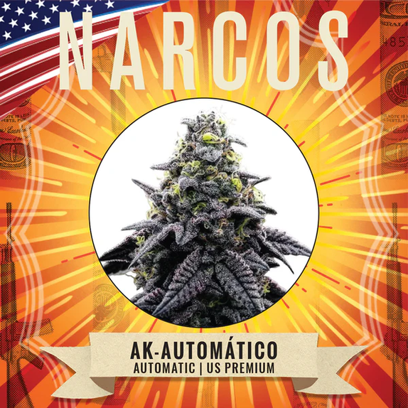 AK-47 Automatico (Narcos Seeds) Cannabis Seeds