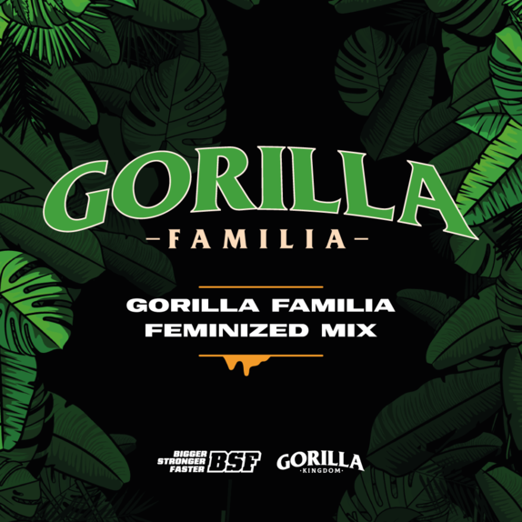 Gorilla Kingdom Family Mix (BSF Seeds) Cannabis Seeds