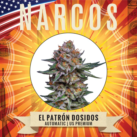 El Patron Dosidos Auto (Narcos Seeds) Cannabis Seeds